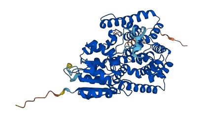 PIGB 3D structure