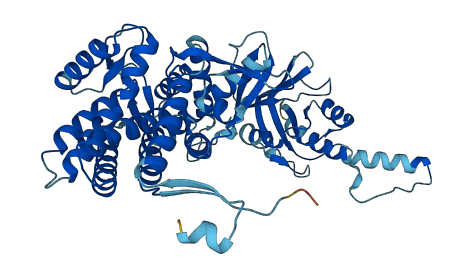 CCT6B 3D structure