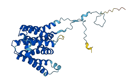 PIGC 3D structure