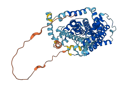 SLC7A6 3D structure