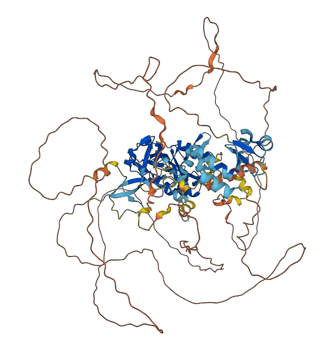 LPIN2 3D structure
