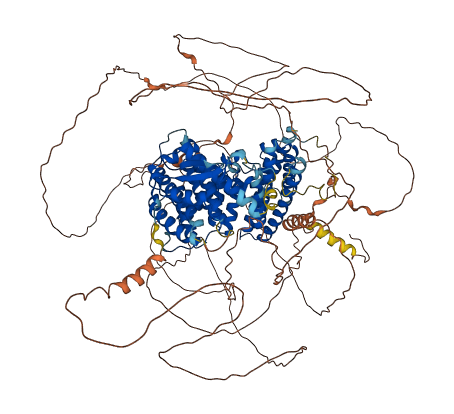 SMG7 3D structure