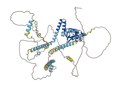 RTF1 3D structure