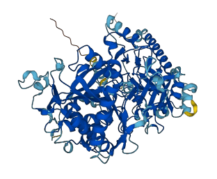 NCSTN 3D structure