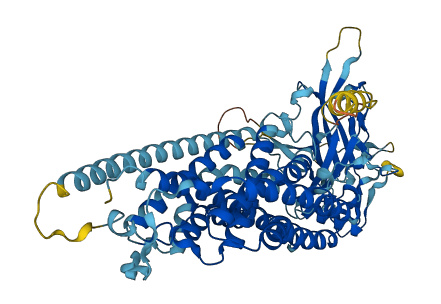 TM9SF4 3D structure