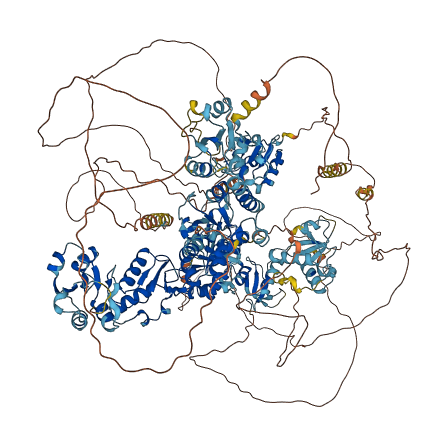 TOPBP1 3D structure