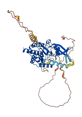 IP6K1 3D structure