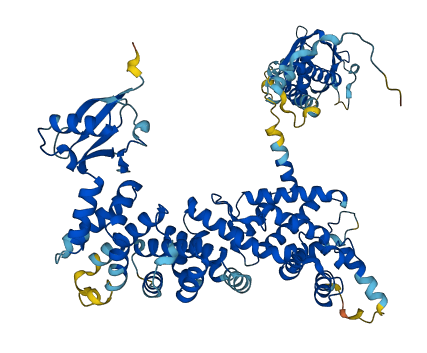 ELMO1 3D structure