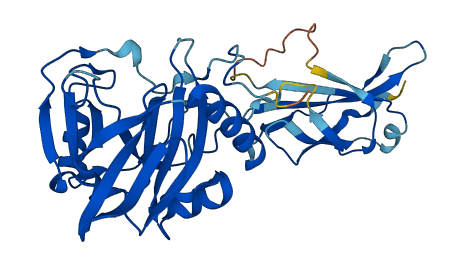 PHYHIP 3D structure
