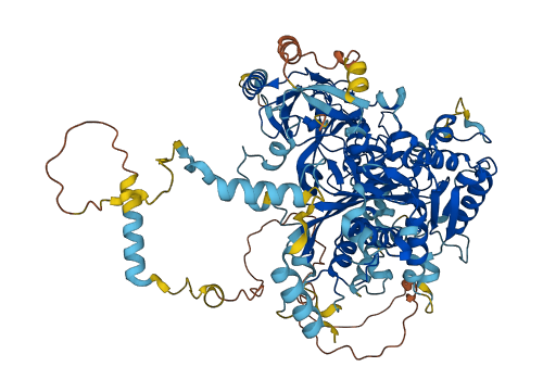 FIG4 3D structure