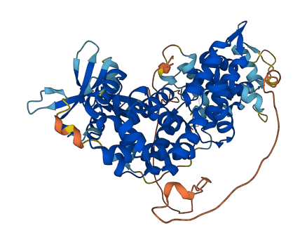 RAPGEF5 3D structure