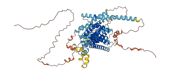 SLC9A6 3D structure