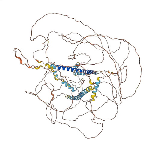 MAML1 3D structure