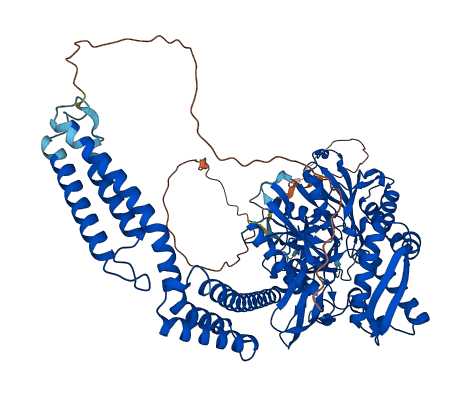 HSPH1 3D structure