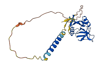 Ocil 3D structure
