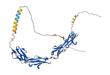 Ceacam2 3D structure