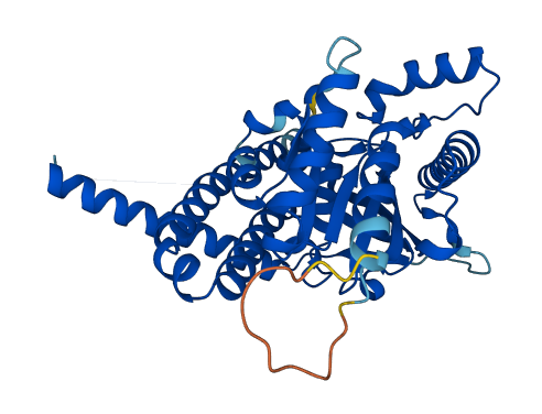 LPGAT1 3D structure
