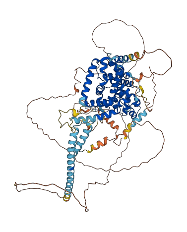 TBC1D5 3D structure