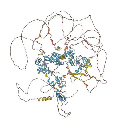 ZNF592 3D structure