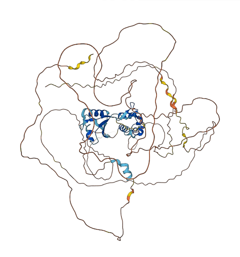 LARP4B 3D structure