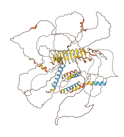 NPIPB3 3D structure