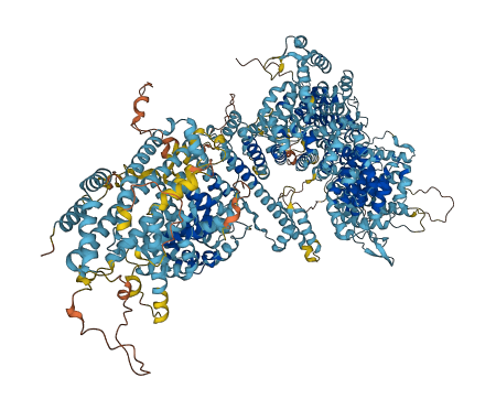 NUP205 3D structure