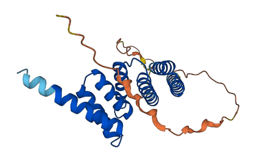 TTC9 3D structure