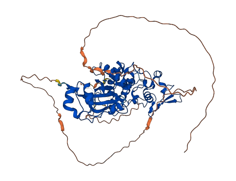 DYRK2 3D structure
