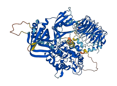 NSMAF 3D structure