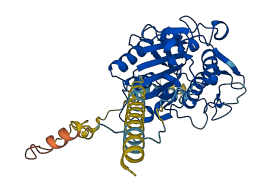 PIGK 3D structure