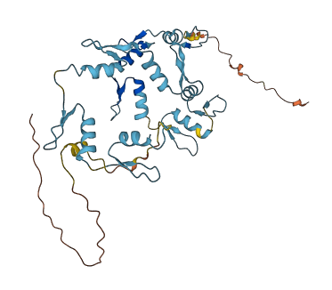 GTF3A 3D structure