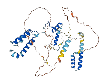 MRPS31 3D structure