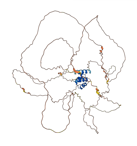RSC1A1 3D structure