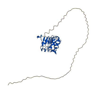 ANP32B 3D structure