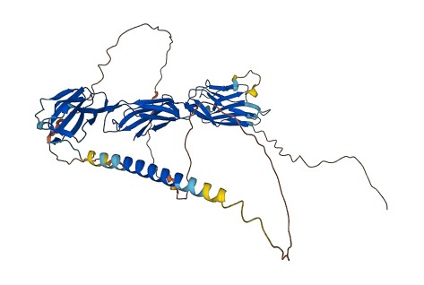 NECTIN2 3D structure