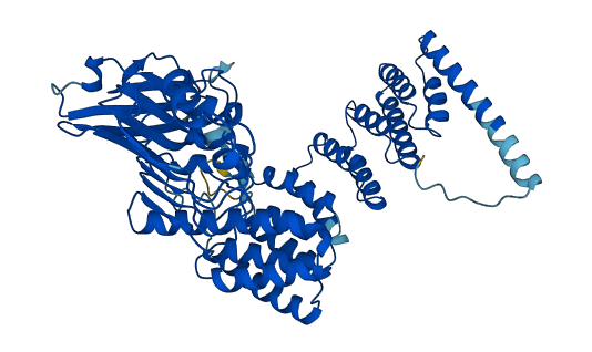 RABGGTA 3D structure