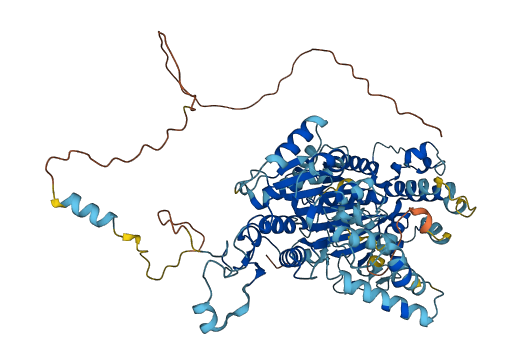 RAD54L 3D structure