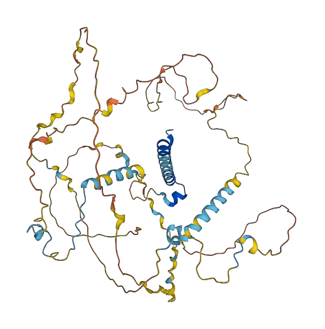 PRCC 3D structure