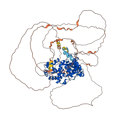 USP6NL 3D structure