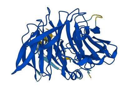 ARPC1A 3D structure