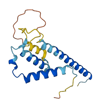 THRSP 3D structure