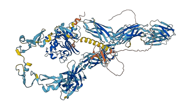 TNR 3D structure
