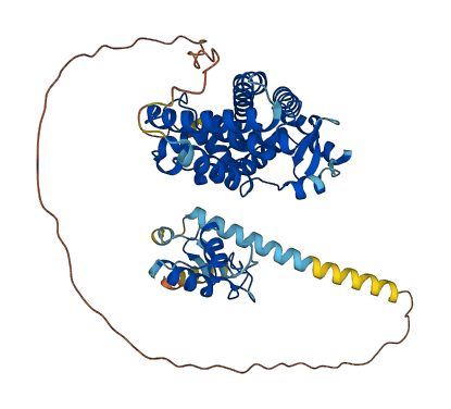 RORB 3D structure