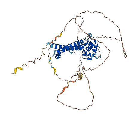TFAP2C 3D structure