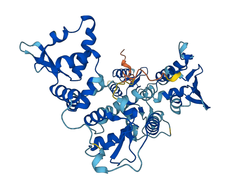 GTF2H4 3D structure