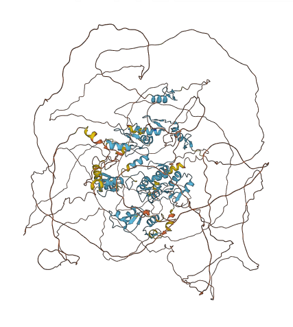 RREB1 3D structure