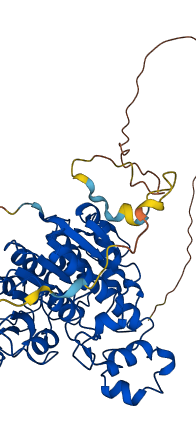 HDAC2 3D structure