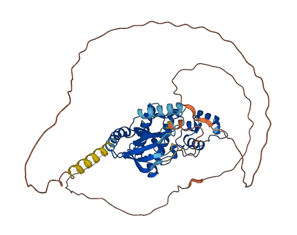 CDKL2 3D structure