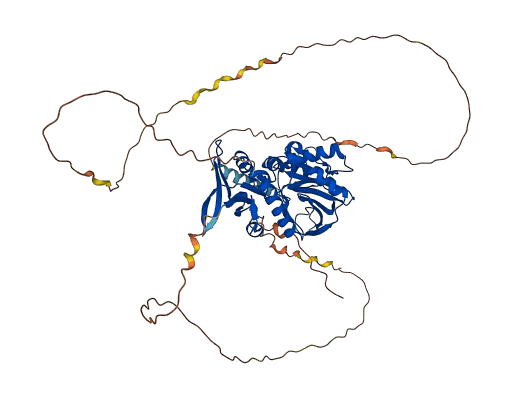 SYN2 3D structure