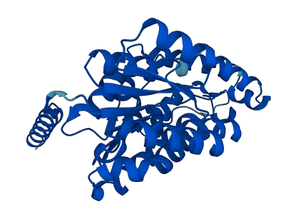 RDH5 3D structure